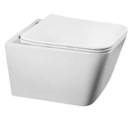 Wall hung toilet
Flushing system: TORNADO