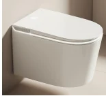 smart toilet