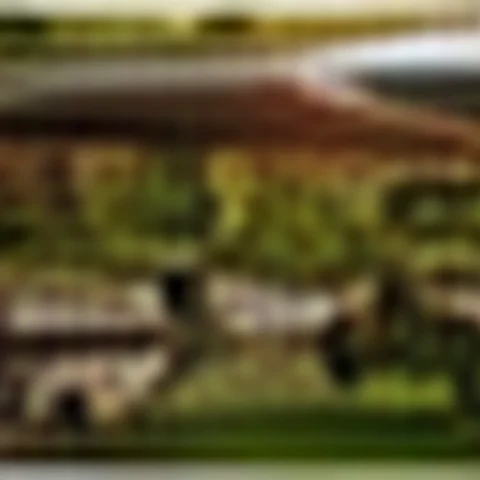 Pergola Classic