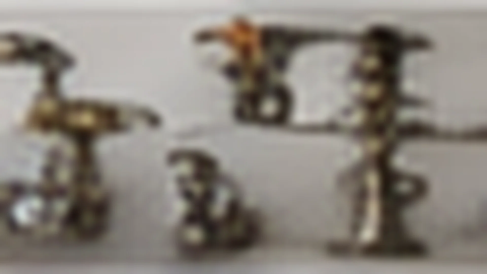 Rakorderi