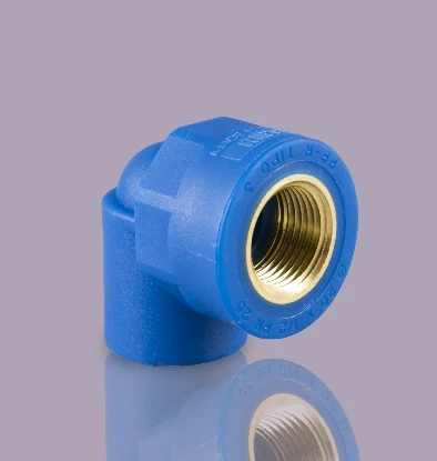 Brryl  F/ F  20 X 1/2  PP-R   Rietti
